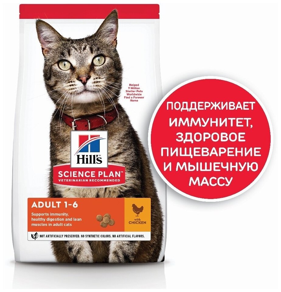 "Сухой корм Hill's Science Plan для взрослых кошек для поддержания жизненной энергии и иммунитета, с ягненком, 10 кг" - фотография № 9