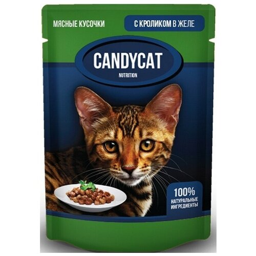 Пауч CANDYCAT Мясные кусочки для кошек с кроликом в желе 85г