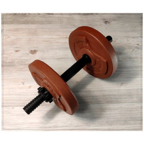 Гантель ShiGir 3кг (SGP-3)