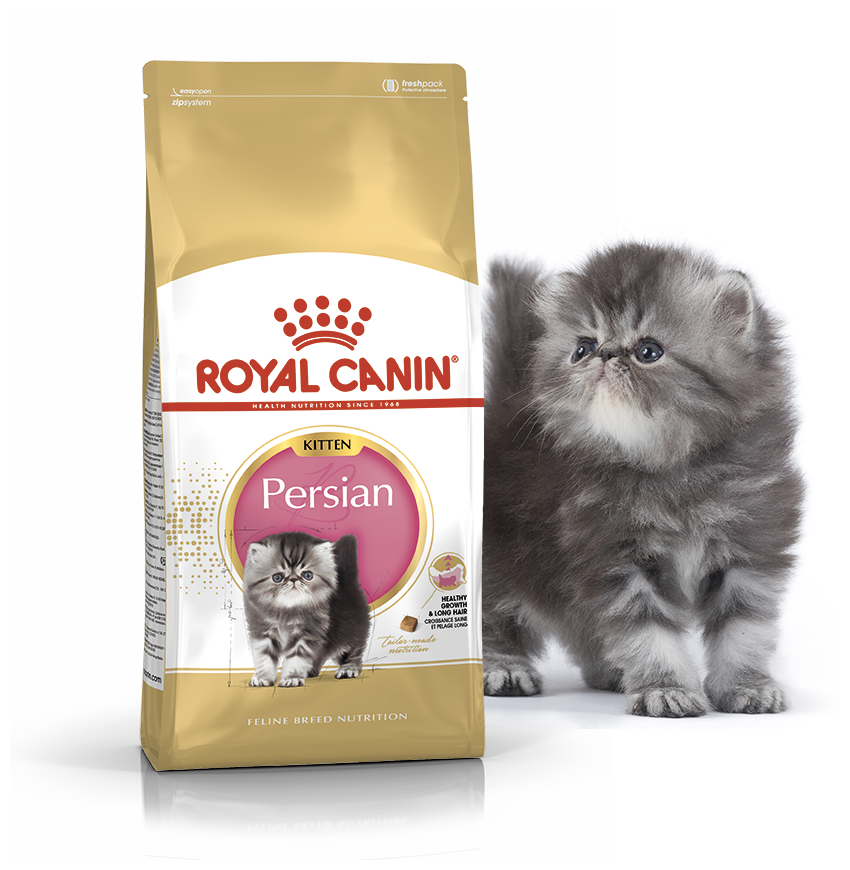 Корм Royal Canin Persian KITTEN для котят персидских пород до 12 мес., 10 кг - фотография № 10