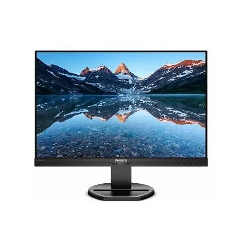 Монитор Philips 24 2473000₽