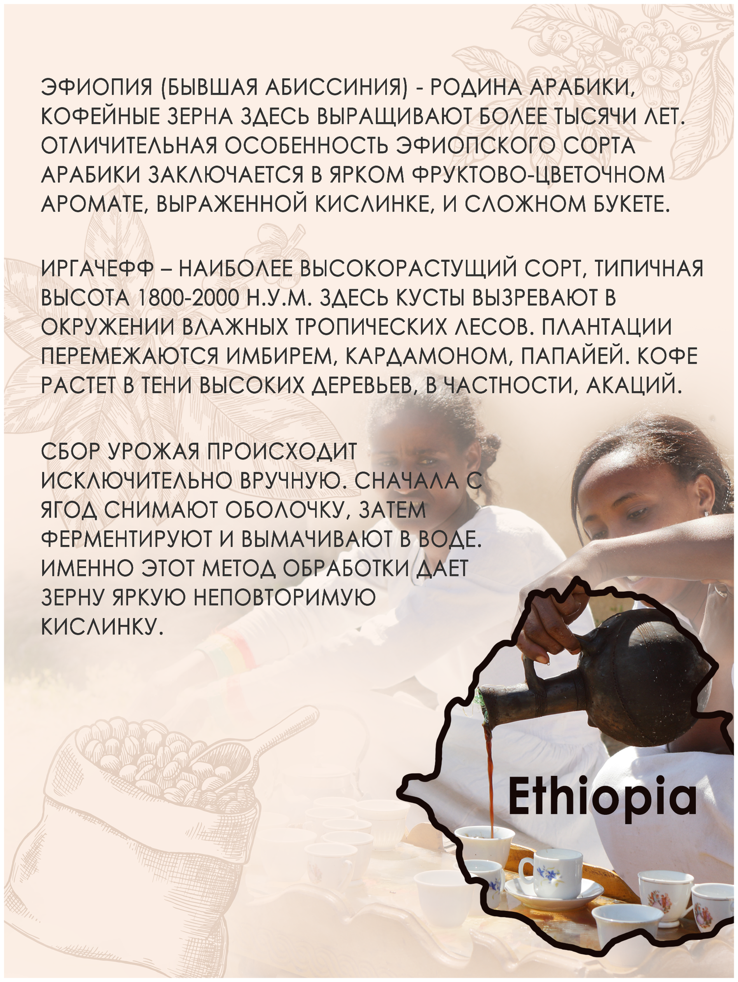 Для эспрессо эфиопия иргачефф НАТ Свежая обжарка 28.12.2022 1кг - фотография № 5