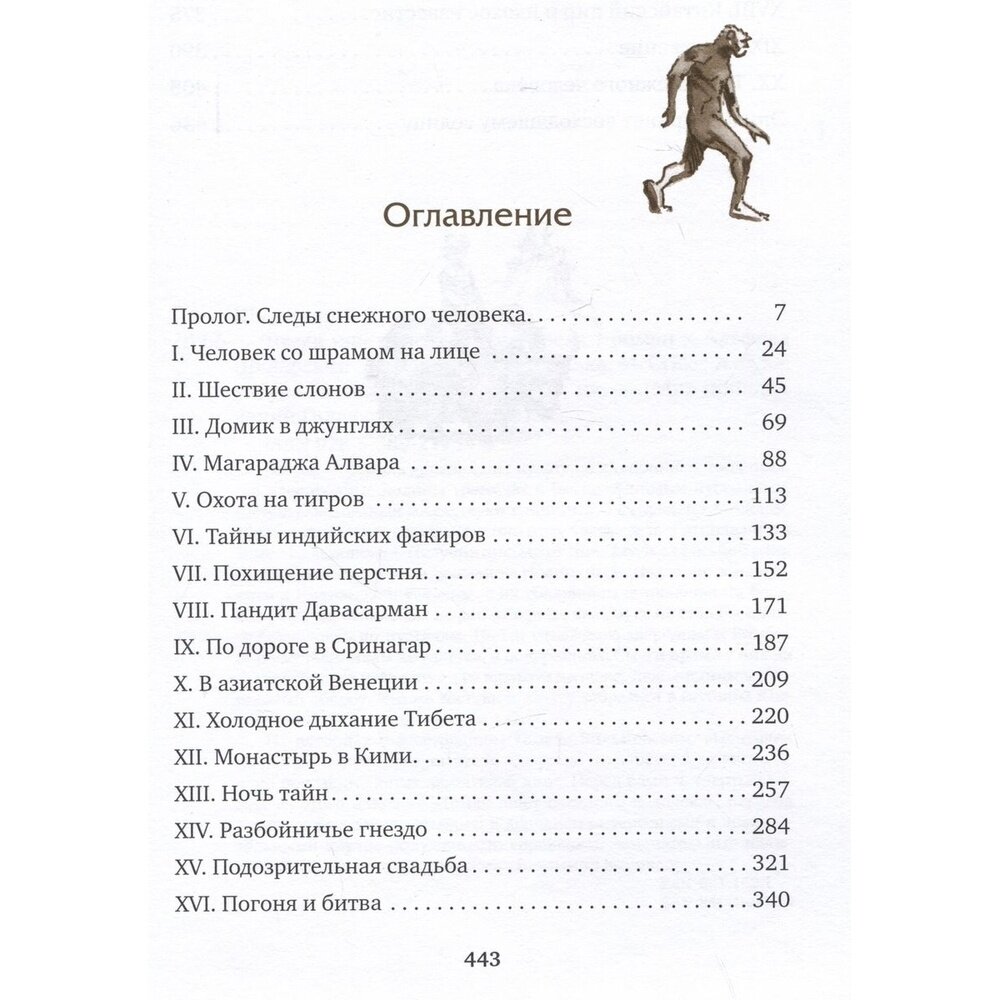 Томек ищет снежного человека (Альфред Шклярский) - фото №8