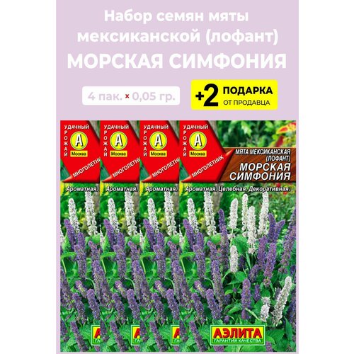 Семена Мята мексиканская "Морская симфония", 0,05 гр, 4 упаковки + 2 Подарка