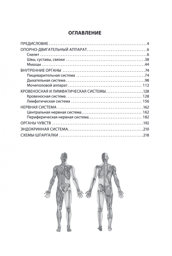 Анатомия человека. Компактный атлас-раскраска - фото №16