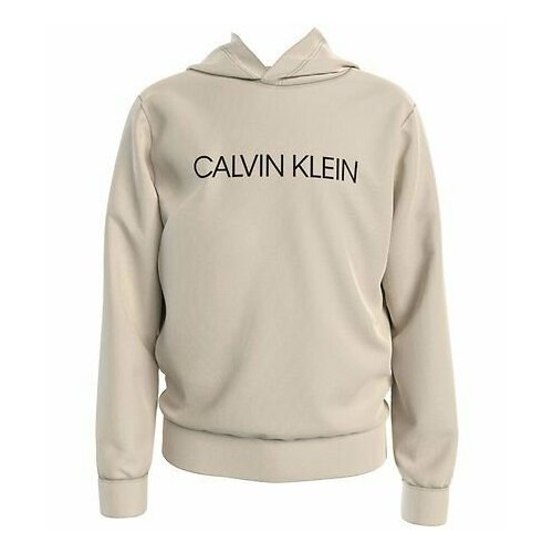 INSTITUTIONAL LOGO HOODIE