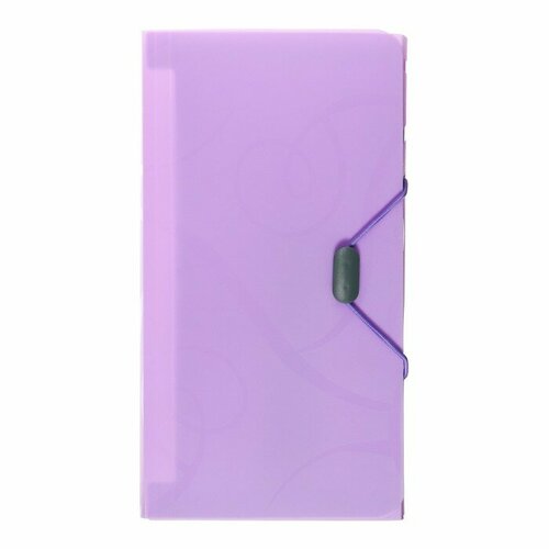 раскраски узоры фиолетовая Папка на резинке А65, 12 отделений, узоры фиолетовая пастеь