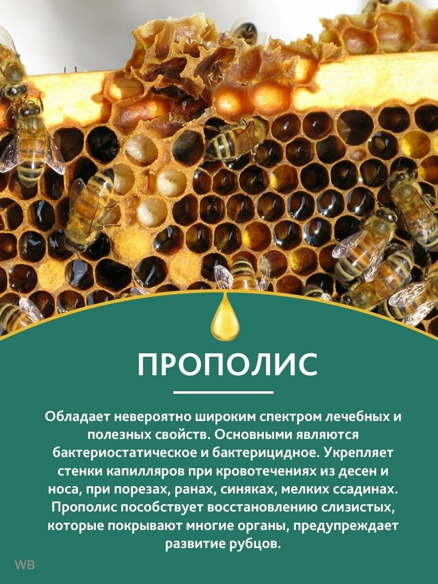 Изображение Суппозитории горец с прополисом при цистите, эрозии шейки матки фито свечи вагинальные, ректальные