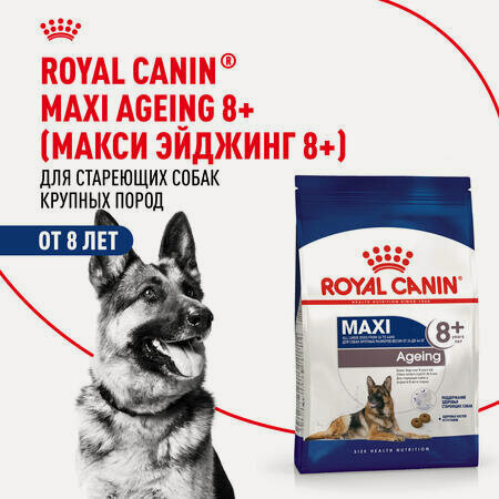 Изображение товара ROYAL CANIN MAXI AGEING 8+ 3 кг корм для собак старше 8 лет от 26 до 44 кг