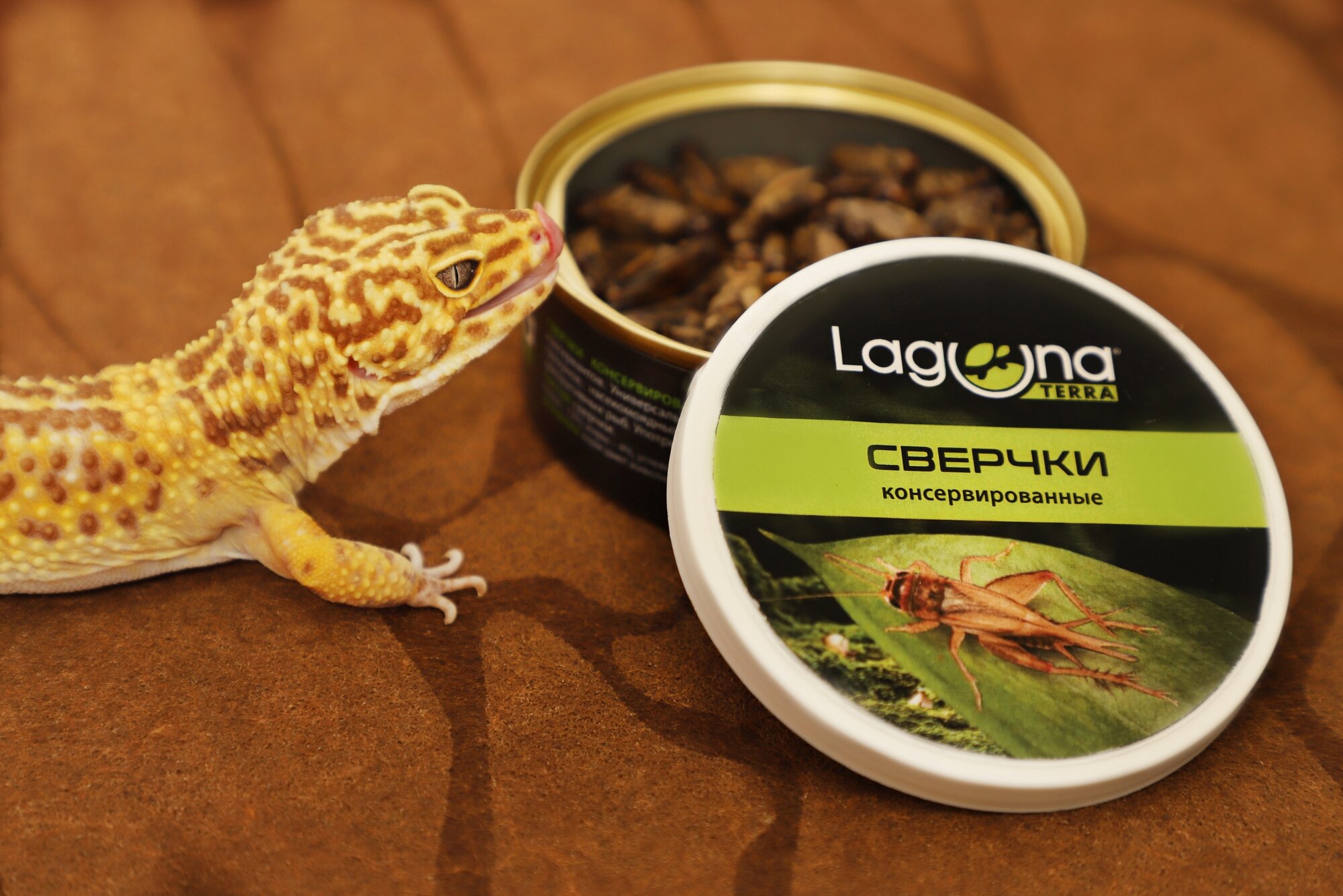 Корм для рептилий Laguna TERRA натуральный Сверчки консервированные 40г