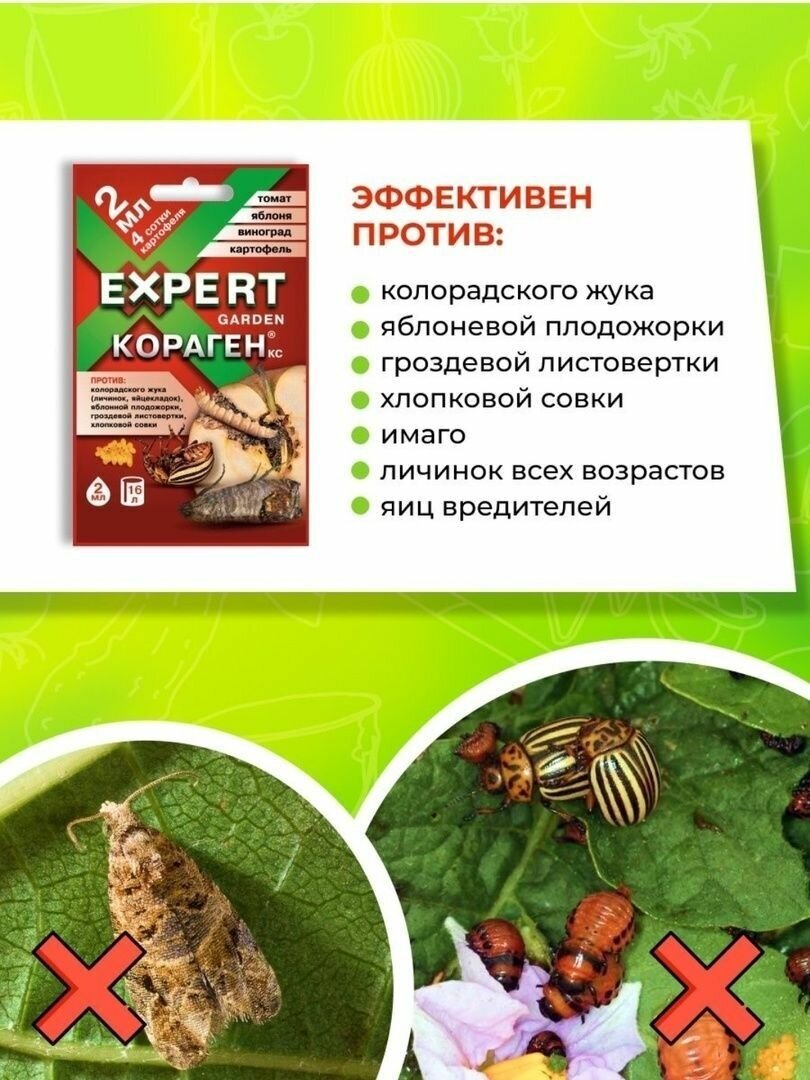 Expert Garden / Кораген, КС 2 мл препарат для защиты растений от вредителей, 5 шт - фотография № 4