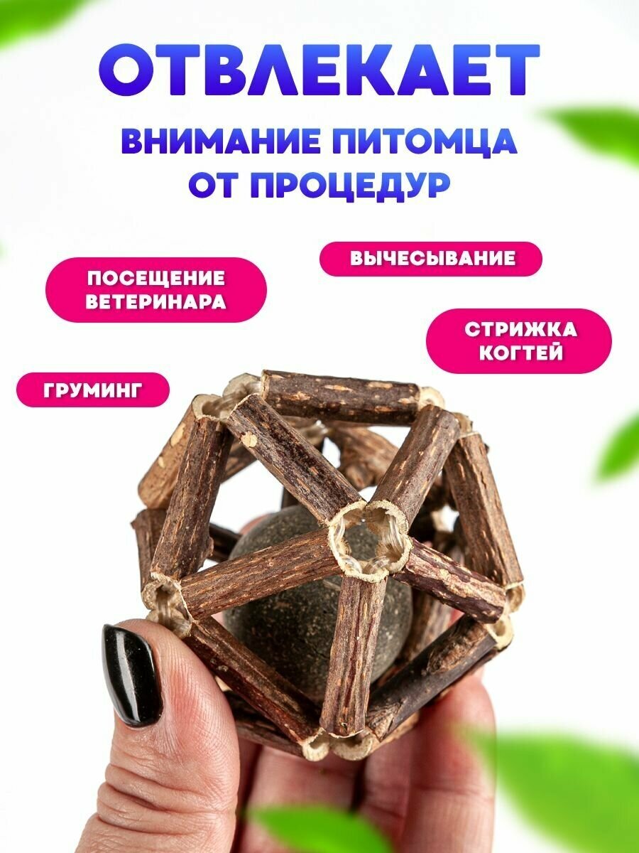 Игрушка лакомство для кошек, шарик из палочек мататаби и кошачьей мяты/ деревянный мячик для котов и котят - фотография № 6