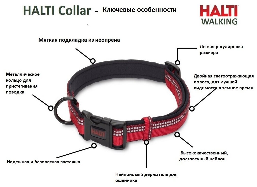 COA Ошейник для собак "HALTI Collar", черный, M, 30-50см (Великобритания) Company of Animals - фото №3