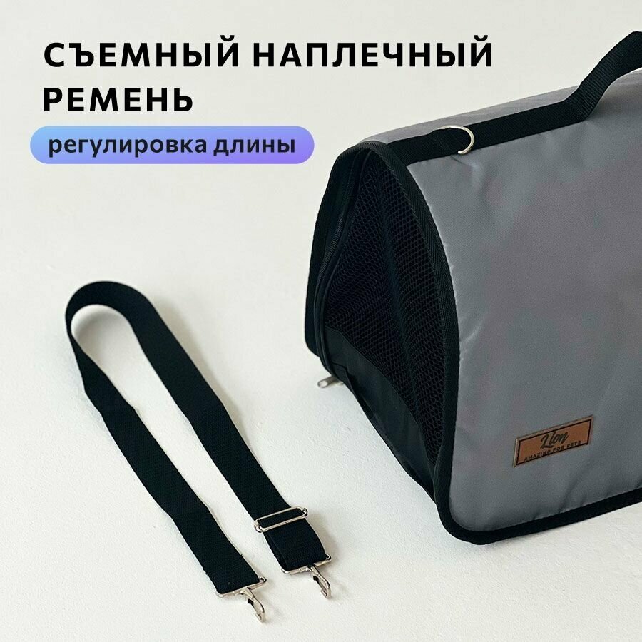 Lion Сумка-переноска для животных "Econom" LM6503 (43 х 29 х 27 см.) - фото №3