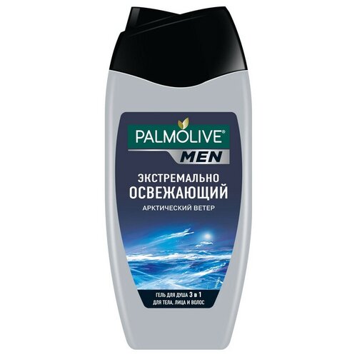 Гель для душа Palmolive MEN Арктический ветер 250 мл , 1 шт. гель для душа palmolive men арктический ветер 3 в 1 для тела лица и волос 250мл х 2шт