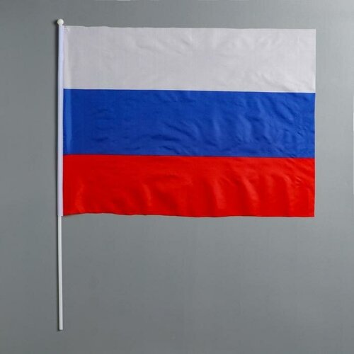 Флаг России, 40 х 60 см, шток 60 см, полиэфирный шёлк флаг россии 20 х 30 см шток 40 см полиэфирный шёлк