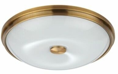 Настенно-потолочный светильник Odeon Light Pelow 4956/4