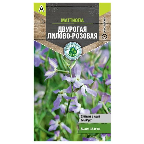 Семена Маттиола двурогая лилово-розовая 0,5г для дачи, сада, огорода, теплицы / рассады в домашних условиях семена маттиола двурогая лилово розовая 0 5г