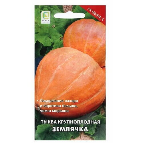 Семена Тыква крупноплодная 