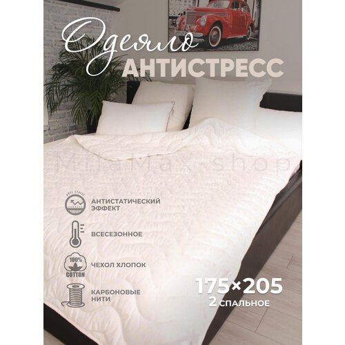 Двуспальное одеяло 175х205, Всесезонное, теплое