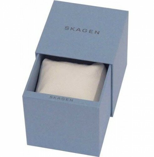 Наручные часы SKAGEN