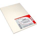 Самоклеящаяся бумага ELP A4, 100 листов белая, глянцевая неделенная универсальная, 70 г/м2 для этикеток (ELP-PLG-A4-100) - изображение