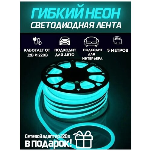 Гибкий неон / Неоновая лента светодиодная 5 метров / Неоновая подсветка декоративная 12/220В / голубая