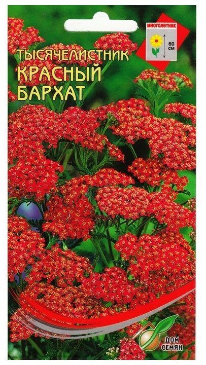 Семена цветов Тысячелистник "Ахиллея" 250 шт.