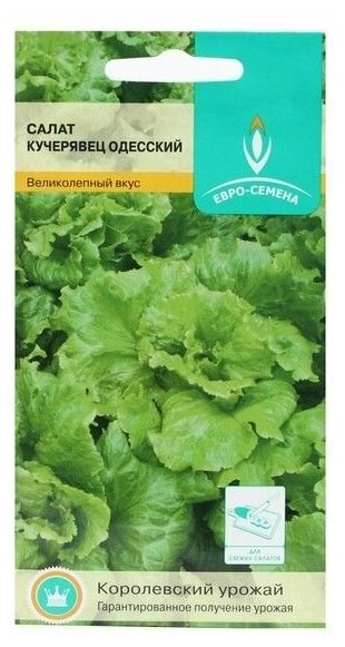 Семена Салат Кучерявец одесский полукочанный 1г (Евро-сем)