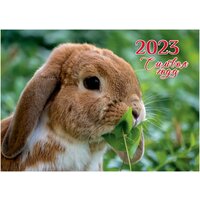 Лучшие Календари с бегунком на 2023 год с зайцами