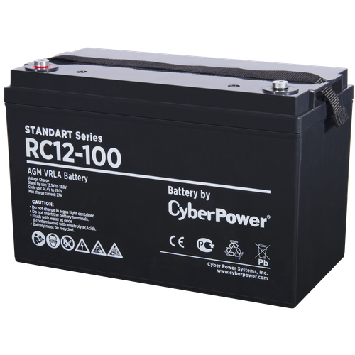 CyberPower SS R 12-100