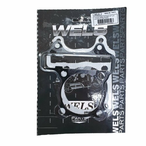 Набор прокладок ЦПГ для двигателя 161QMK 447₽