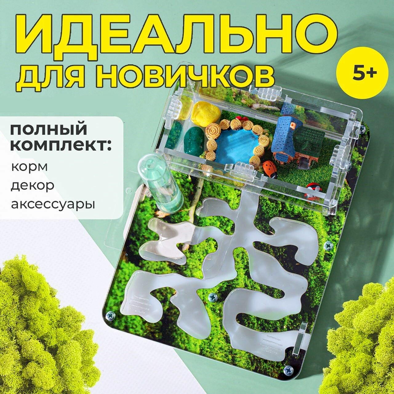 Муравьиная ферма Стартовая "Мох" ВСЕ включено Формикарий для муравьев — фото 1