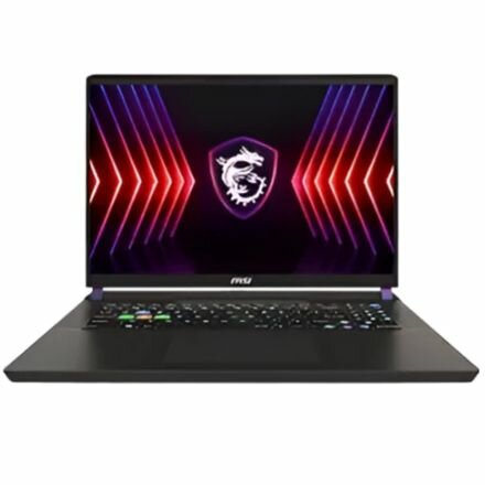 17" Ноутбук MSI Vector 17 HX A14VIG-899RU (9S7-17S162-899) черный - 2560x1600, IPS, Intel Core i9-14900HX, ядра: 24 x 2,2 ГГц, 32 ГБ, SSD 2000 ГБ, NVIDIA GeForce RTX 4090 (16 ГБ), Windows 11 Home