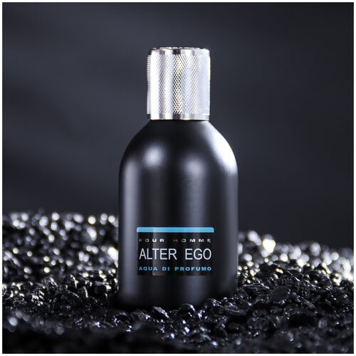Туалетная вода мужская Alter Ego Aqua di profumo, 100 мл
