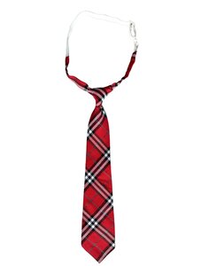 Фото Школьный галстук на резинке для мальчика и для девочки красный в полоску