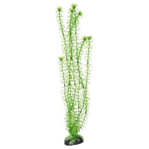 Пластиковое растение Элодея 30см (Барбус) Plant 004/30