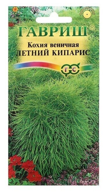Семена цветов Кохия веничная "Летний кипарис" 03 г
