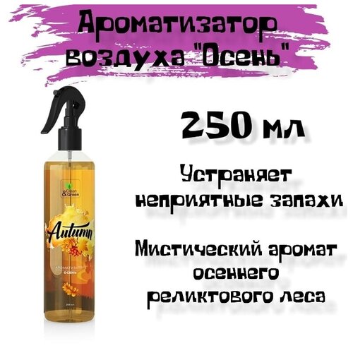 Ароматизатор воздуха 