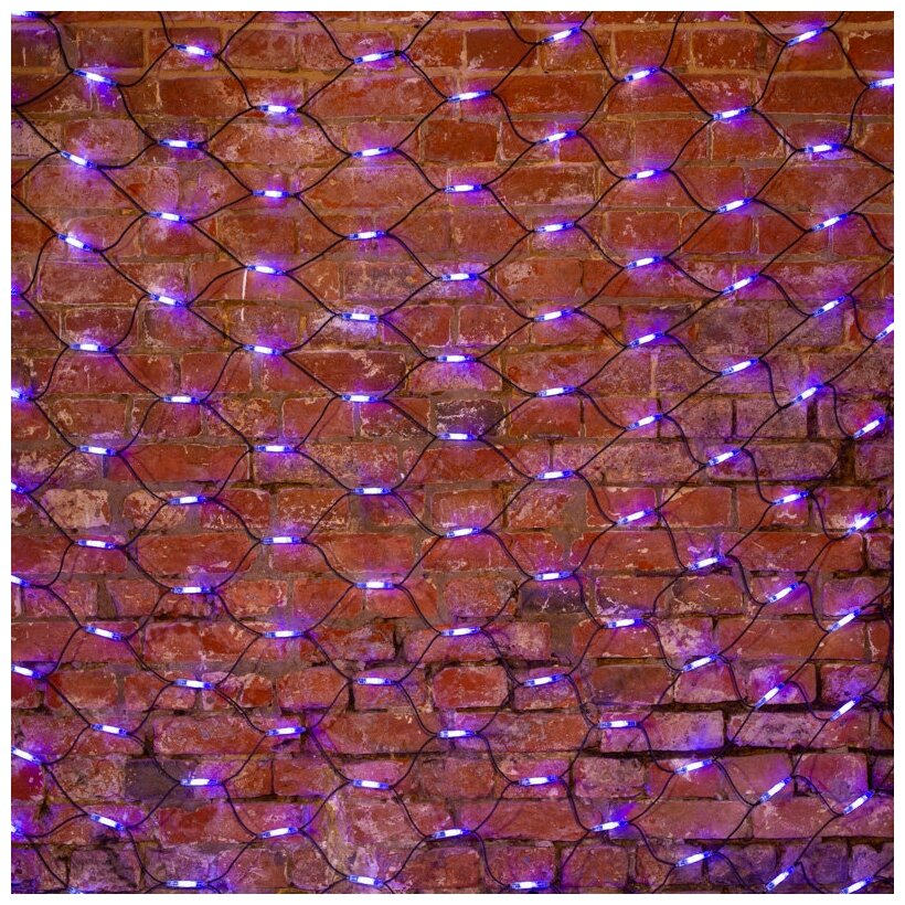 Гирлянда-сеть Чейзинг LED 2х432LED белый Neon-Night - фото №1