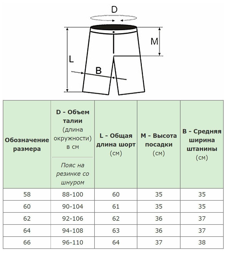 Шорты FAZO-R