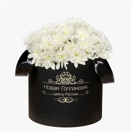 15 Белых хризантем в большой черной коробке №259