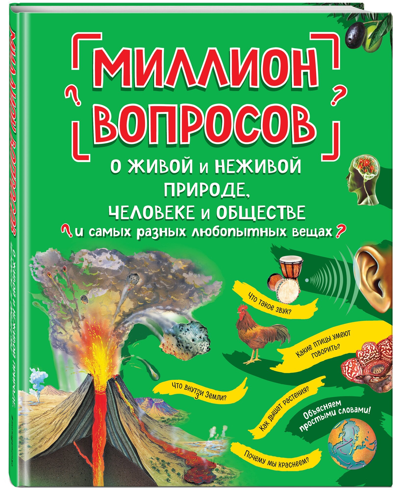 Миллион вопросов о живой и неживой природе, человеке и обществе и самых разных любопытных вещах