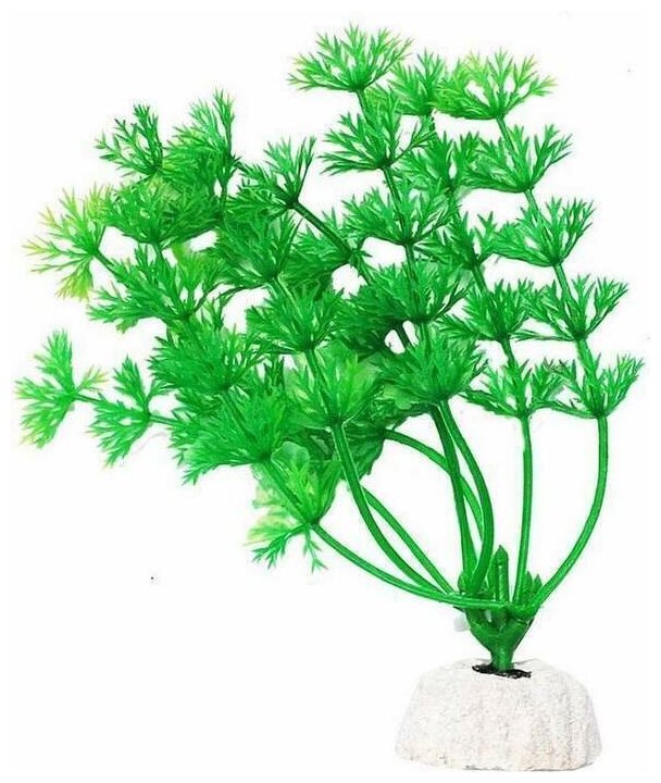 Уют ВК103 Растение Амбулия зеленая 10см (1 шт)