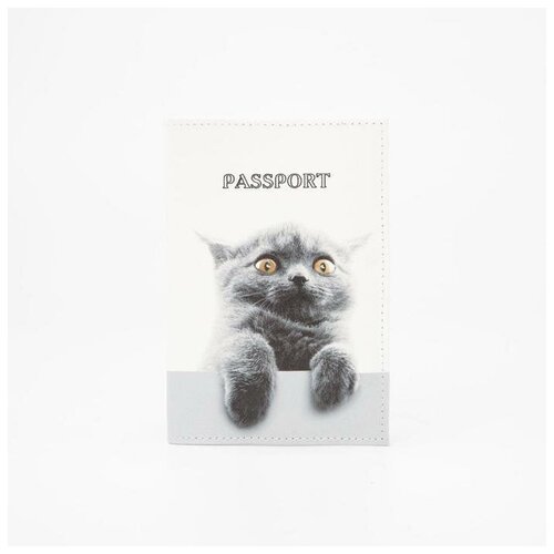 Обложка для паспорта , белый для паспорта пк кидс тойз дв натуральная кожа белый