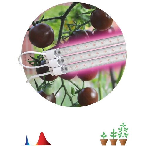 комплект 5 штук фитосветильник для растений эра fito 3х10w line rb90 линейный 3x10 б0050924 Модульный светильник для растений ЭРА FITO-3х10W-LINE-RB90 красно-синего спектра 30 Вт