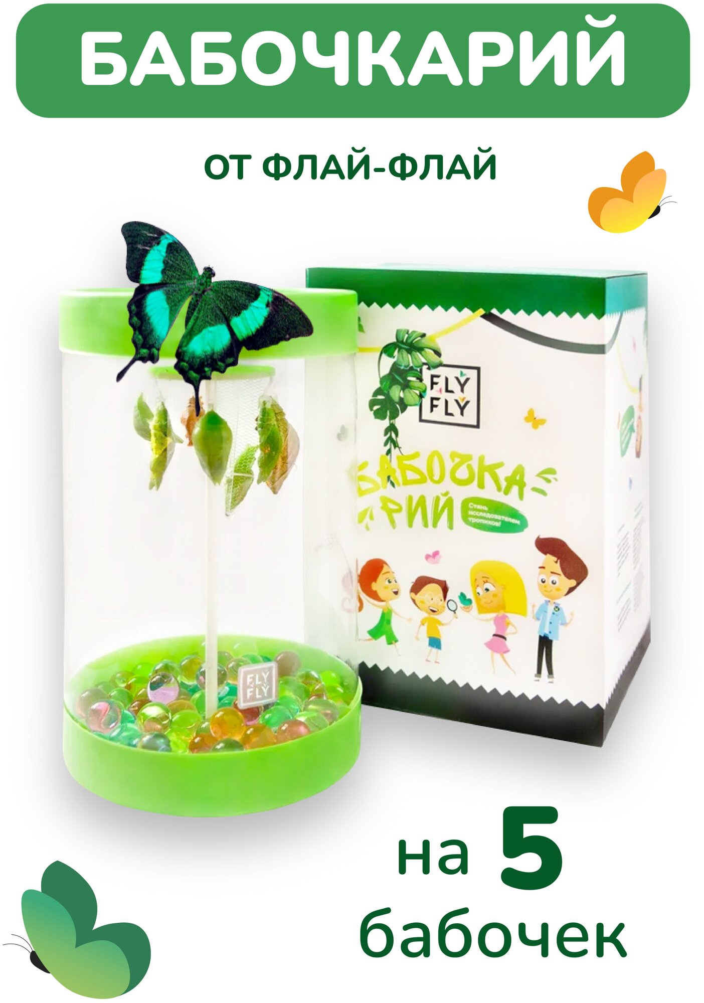 Ферма бабочек "Бабочкарий" на 5 куколок / Детский развивающий набор для исследований от Флай-Флай - фотография № 1