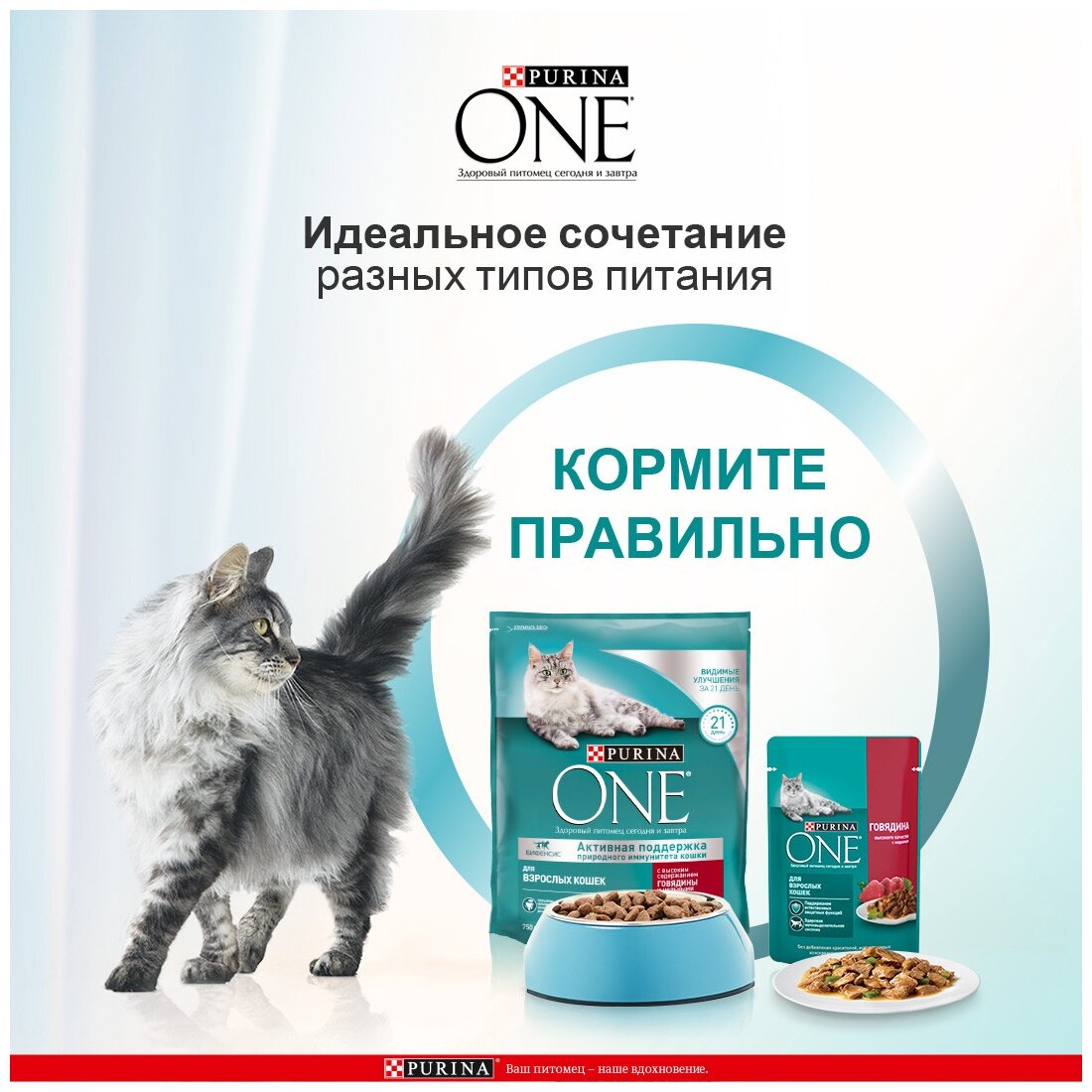 Сухой корм для кошек Purina ONE с высоким содержанием говядины и цельными злаками 750 г - фотография № 11