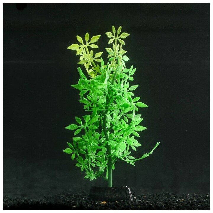 Растение аквариумное КНР силиконовое, светится в темноте, 8х19 см, зеленое