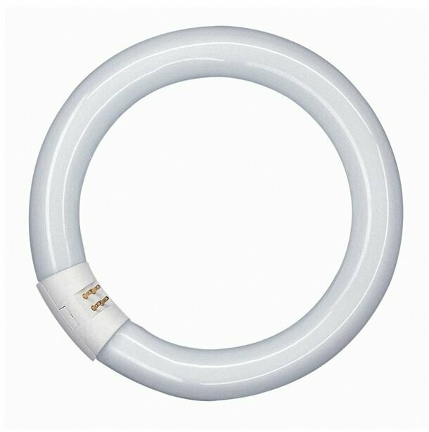 фото Лампа люминесцентная T9-22W-765